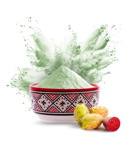 Poudre de Figue de Barbarie